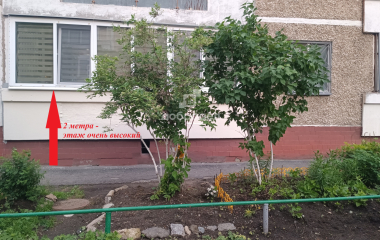 Екатеринбург, ул. Ильича,46