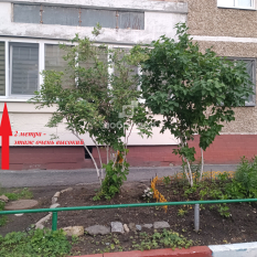 1-к квартира | 35.00 м² | 1 - 12 эт. 161