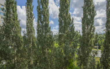 Екатеринбург, пер. Красный,17