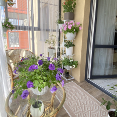 3-к квартира | 57.10 м² | 2 - 3 эт. 41