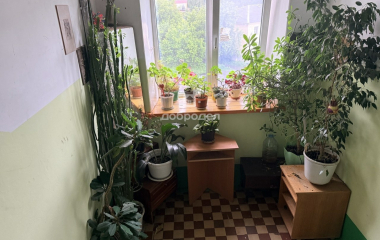 Екатеринбург, пер. Замятина,36