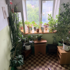 1-к квартира | 30.00 м² | 5 - 5 эт. 71