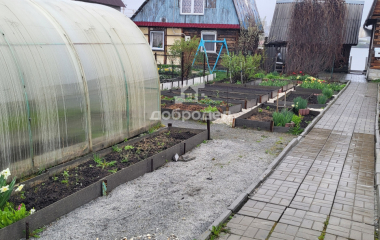 Екатеринбург, кол. сад Шиловский участок  № 11