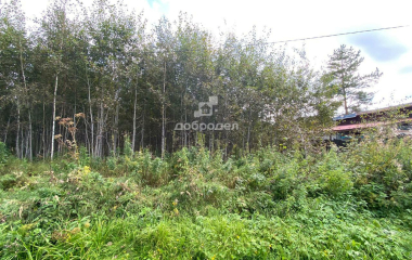 Березовский, 43