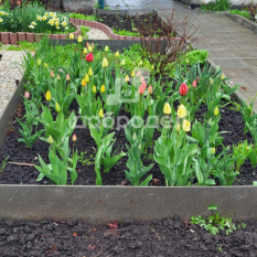 Участок | 60.00 сот. 61