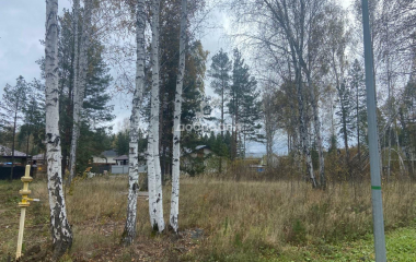 дп Заповедник, кв-л Кедровка,12