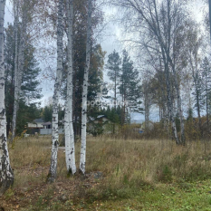 Участок 31