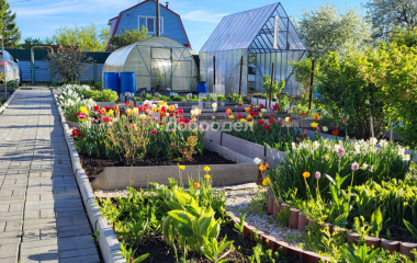 Екатеринбург, кол. сад Шиловский участок  № 11