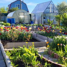 Участок | 60.00 сот. 60