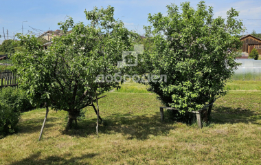 Большебрусянское, ул. Ленина,76