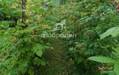 Березовский, Свердловская область, г. Березевский, спо 85, участок 34