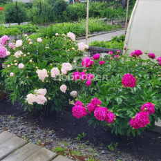 Участок | 60.00 сот. 70