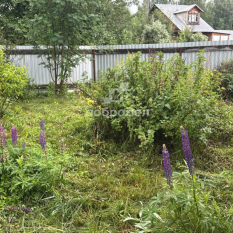 Участок | 23.80 сот. 11