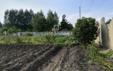 Исеть, 