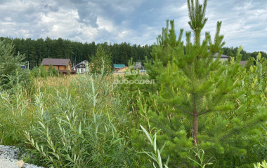Крутой, 