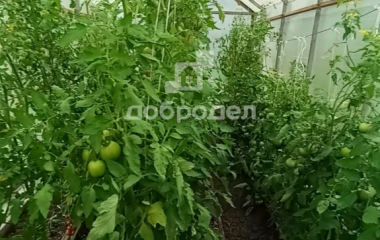 Березовский, Свердловская область, г. Березевский, спо 85, участок 34