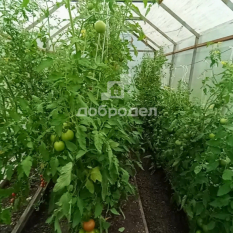 Участок | 54.00 сот. 141