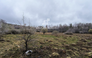 Дегтярск, ул. Валентины Терешковой, 21