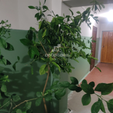 1-к квартира | 33.80 м² | 10 - 14 эт. 71