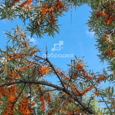 Участок 20