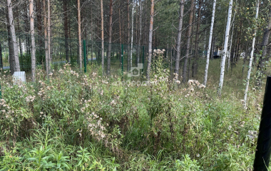 Екатеринбург, Свердловская область, Сысертский район, дп Заповедник, кв-л Снегири, уч.51