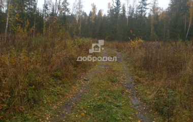 Новоуткинск, 