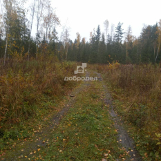 Участок 41