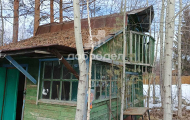 Екатеринбург, с/т Южный