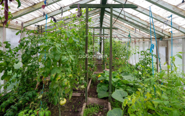 Екатеринбург, ул. Источная,СНТ Восток 4