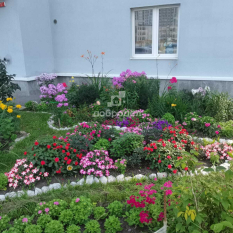 3-к квартира | 80.60 м² | 11 - 19 эт. 71