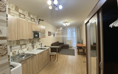 Екатеринбург, ул. Блюхера,99