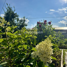 Участок | 83.00 сот. 120