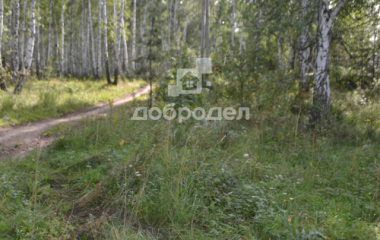 Каменский городской округ, поселок Горный
