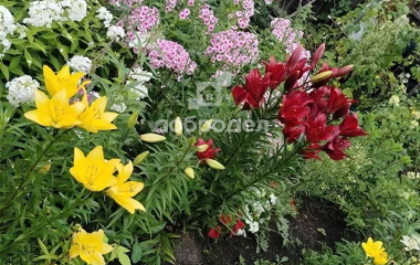 Курорт-Самоцвет, ул. Центральная