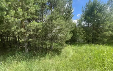 г.Екатеринбург, ул. Мостовка