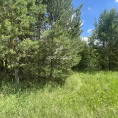 Участок 11