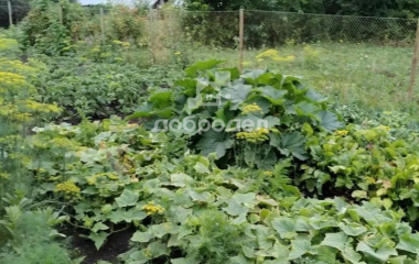 Курорт-Самоцвет, ул. Центральная