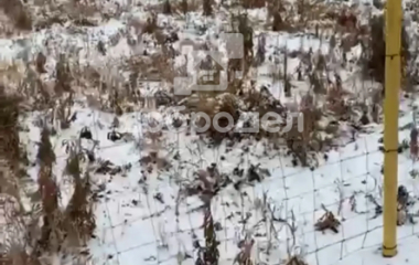 Кунгурка, ул. Просторная