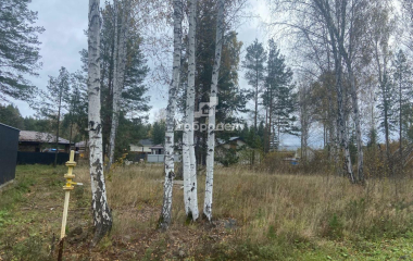 дп Заповедник, кв-л Кедровка,12