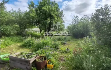 Каменск-Уральский,  Снт Электровозник-1