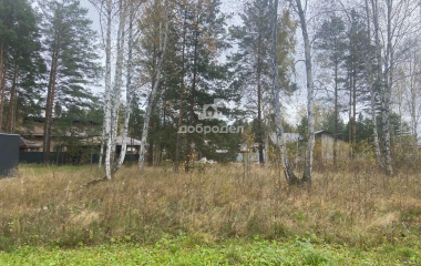 дп Заповедник, кв-л Кедровка,12