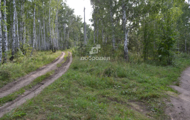 Каменский городской округ, поселок Горный
