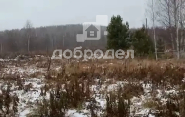 Кунгурка, ул. Просторная