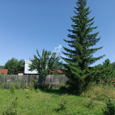 Участок 31