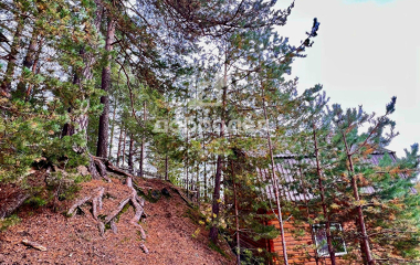 Старые Решеты, ул. Пушкина,1А