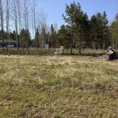 Участок 81