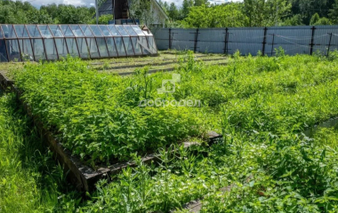 Верхняя Пышма, СТ "Экспресс 74" уч.20