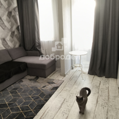 1-к квартира | 23.40 м² | 10 - 12 эт. 10