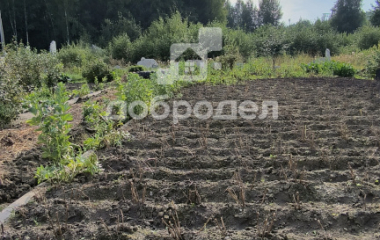 Исеть, 