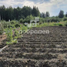 Участок 21